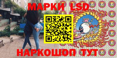 тгк Бердск