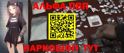 тгк Бердск