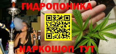 тгк Бердск