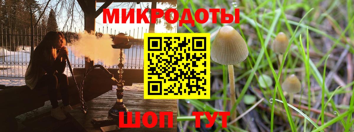 Псилоцибиновые грибы ЛСД Сургут