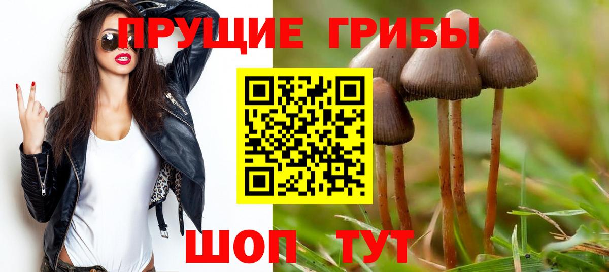 Псилоцибиновые грибы мицелий  Вход с VPN  Сургут 